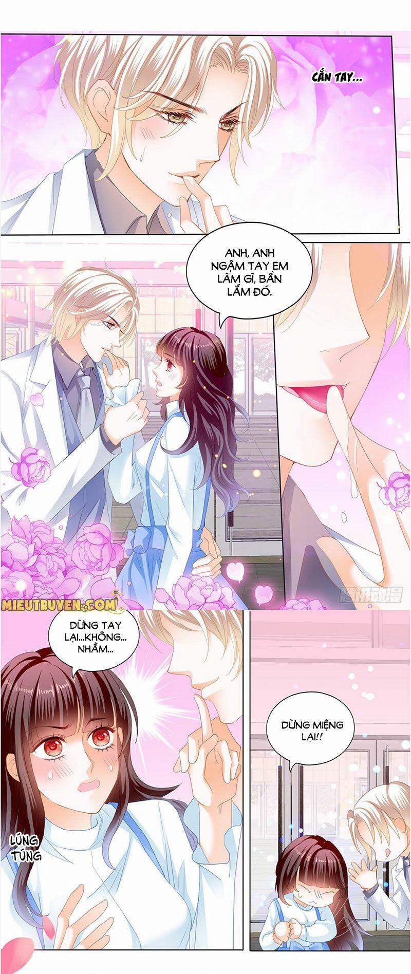 Thiểm Hôn Kiều Thê 239 trang 5