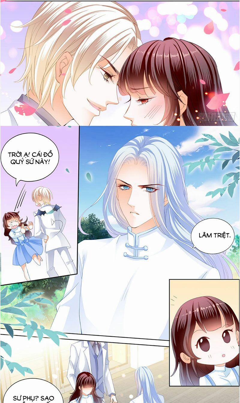 Thiểm Hôn Kiều Thê 239 trang 6