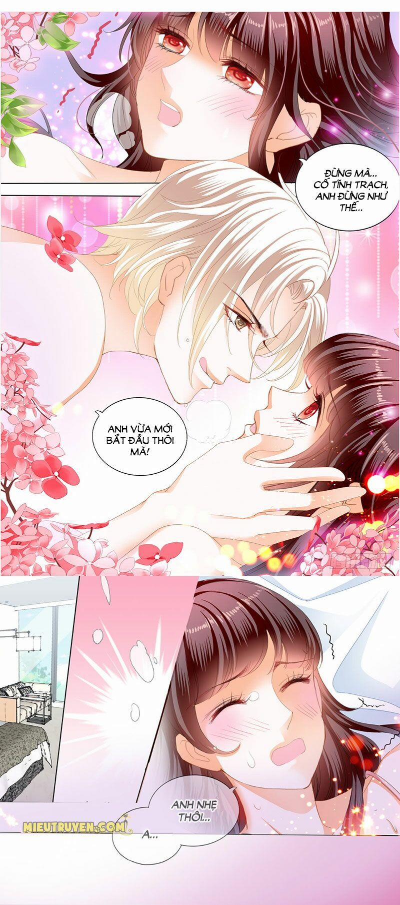 Thiểm Hôn Kiều Thê 241 trang 9