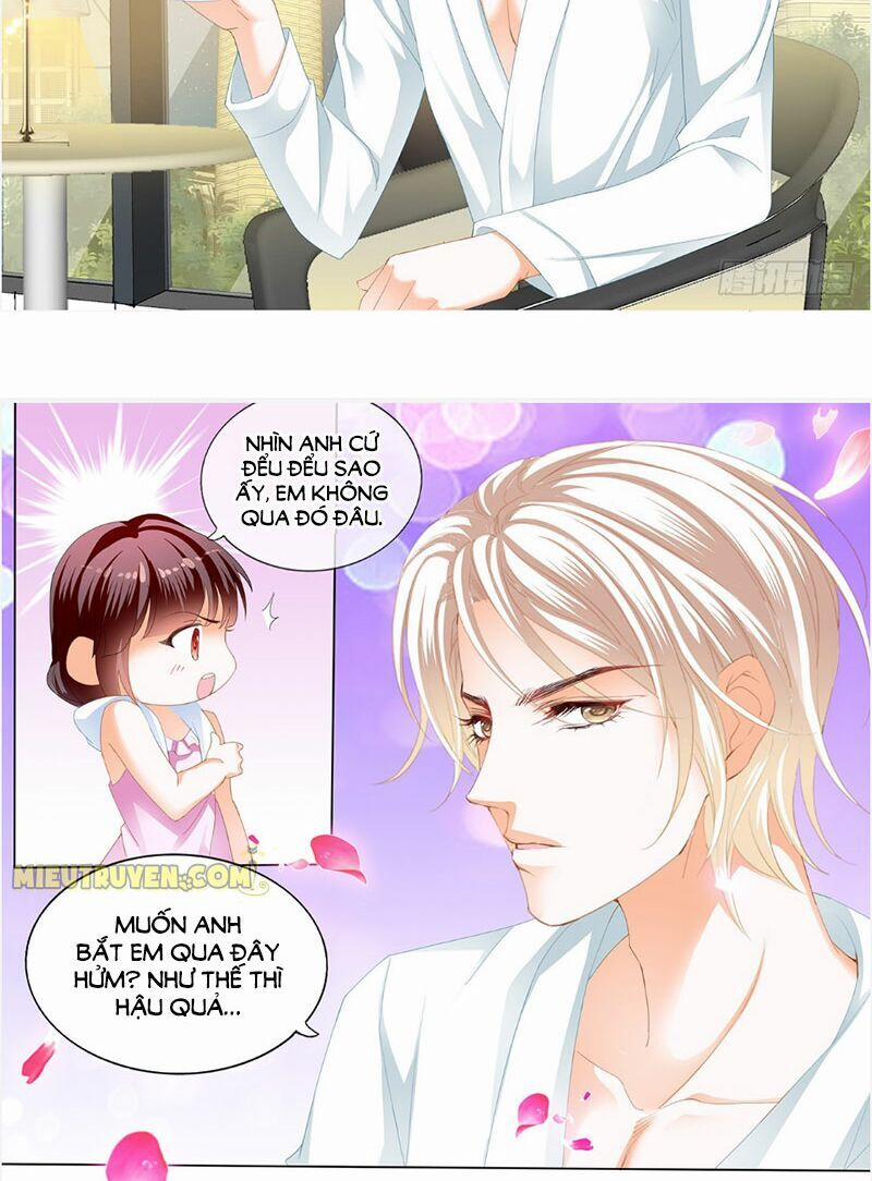 Thiểm Hôn Kiều Thê 242 trang 2