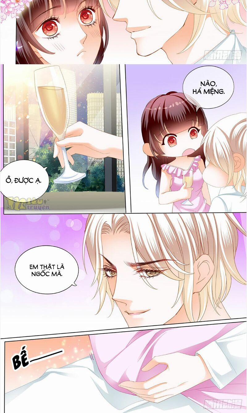 Thiểm Hôn Kiều Thê 242 trang 4