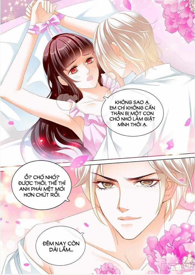 Thiểm Hôn Kiều Thê 243 trang 12