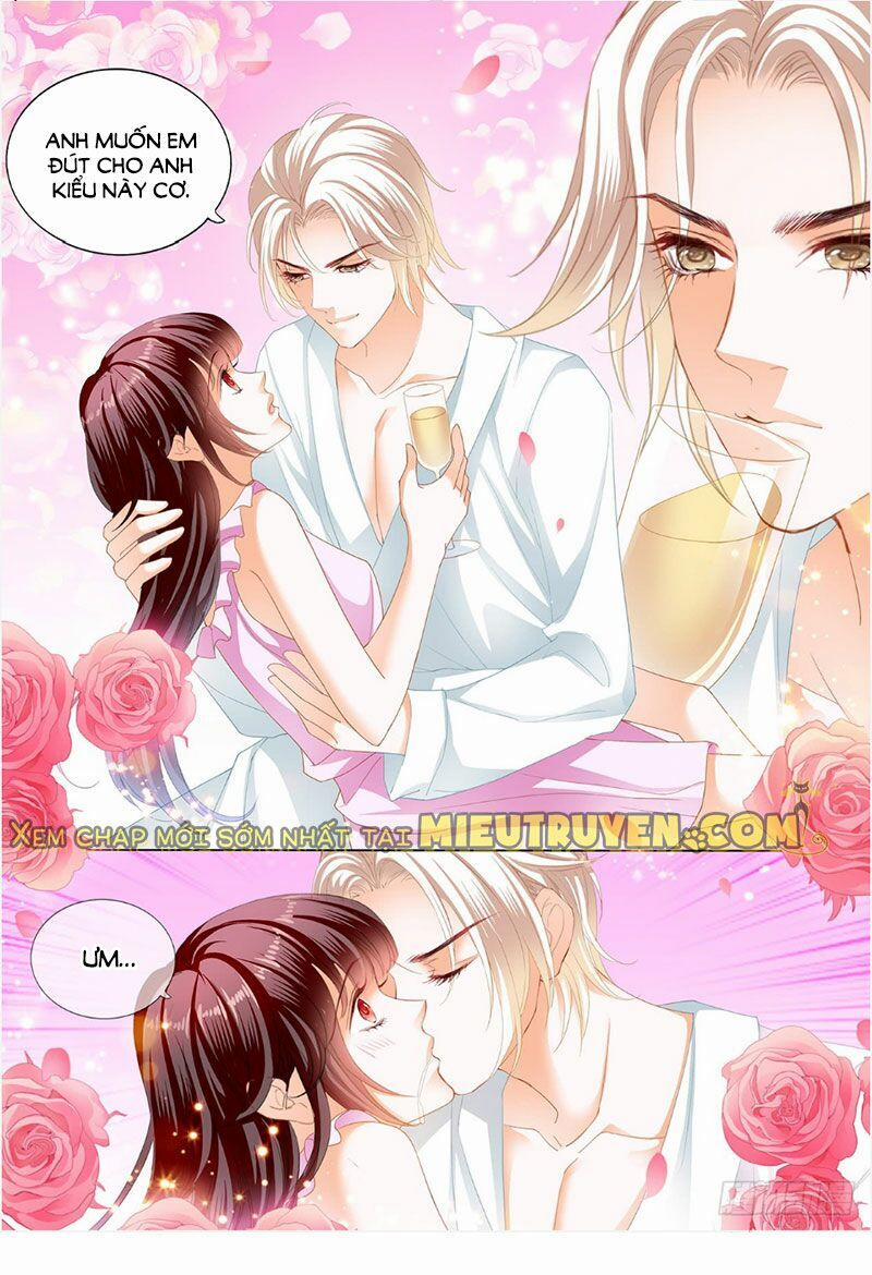 Thiểm Hôn Kiều Thê 243 trang 5