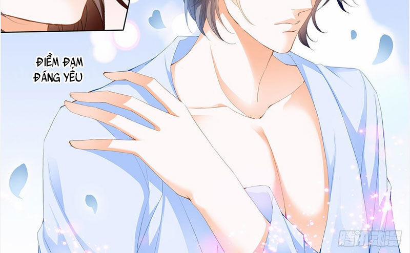 Thiểm Hôn Kiều Thê 244 trang 2