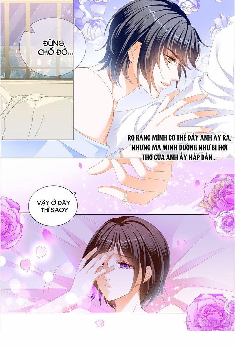 Thiểm Hôn Kiều Thê 244 trang 5