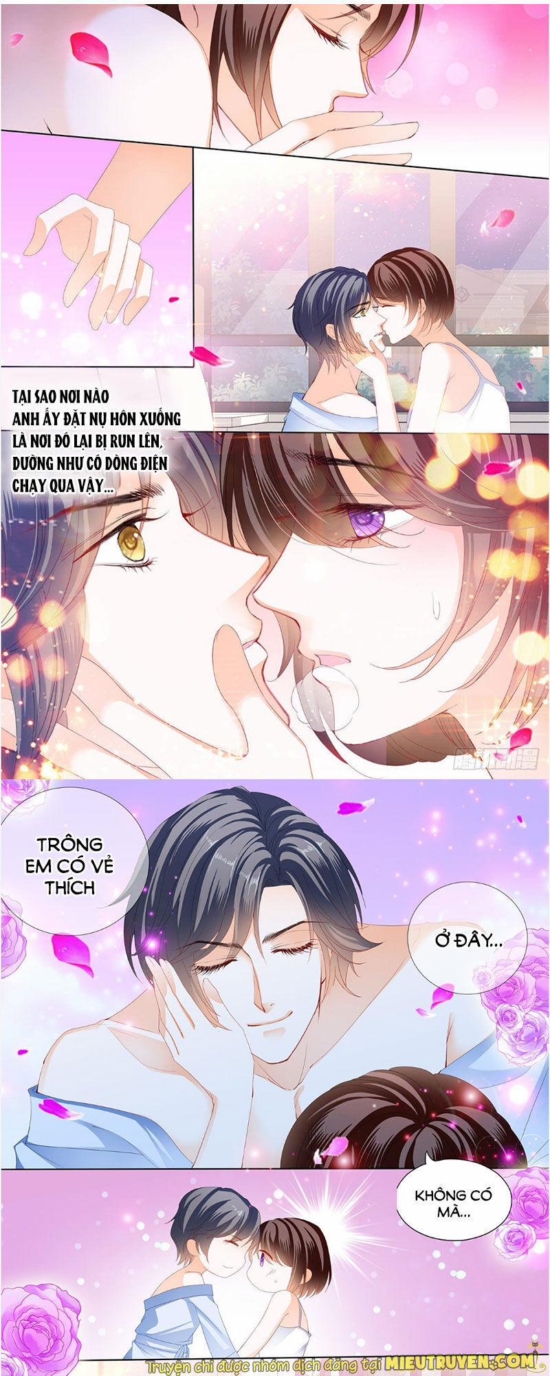 Thiểm Hôn Kiều Thê 244 trang 6