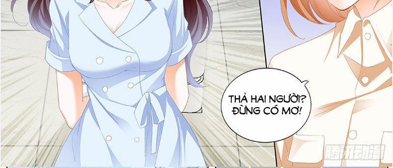 Thiểm Hôn Kiều Thê 246 trang 4