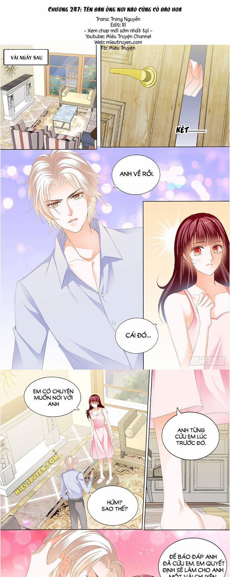 Thiểm Hôn Kiều Thê 247 trang 1