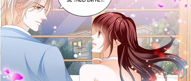 Thiểm Hôn Kiều Thê 247 trang 4