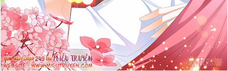 Thiểm Hôn Kiều Thê 248 trang 12