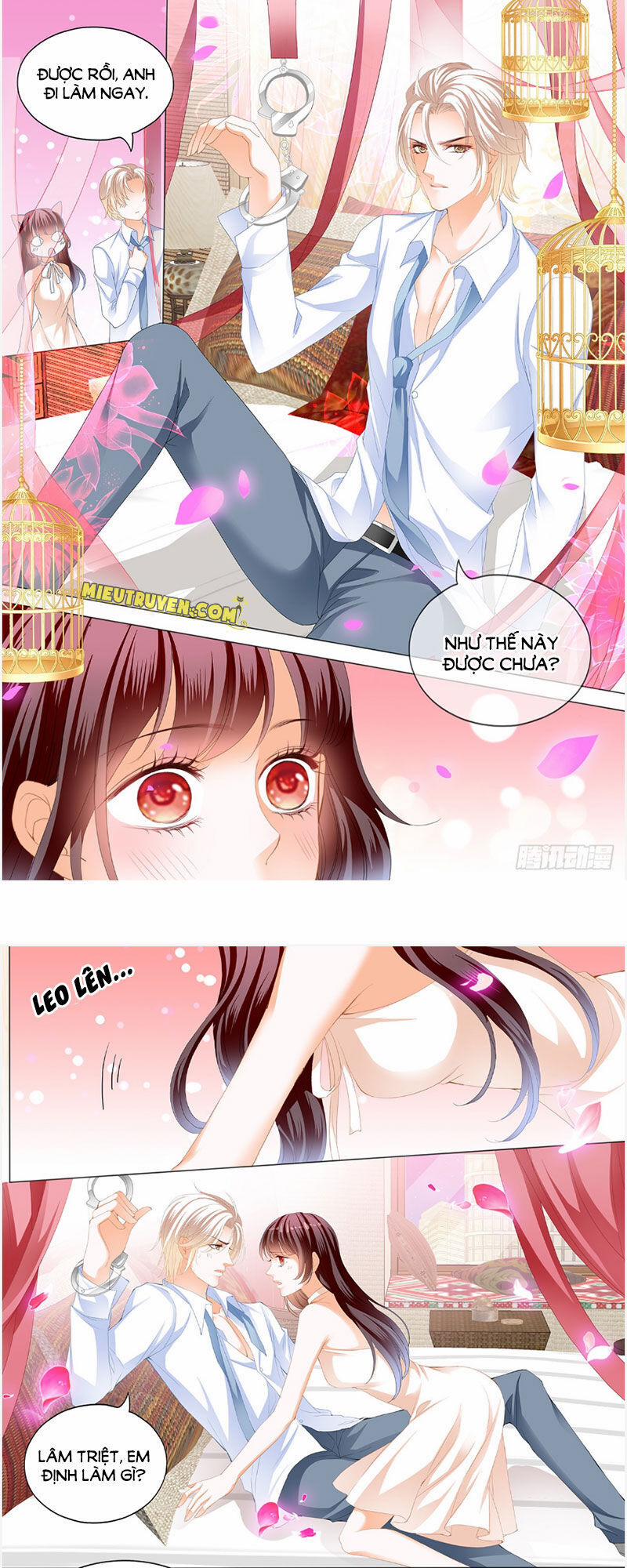 Thiểm Hôn Kiều Thê 248 trang 5