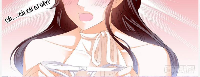 Thiểm Hôn Kiều Thê 249 trang 10