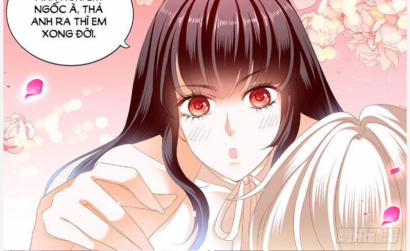 Thiểm Hôn Kiều Thê 249 trang 2