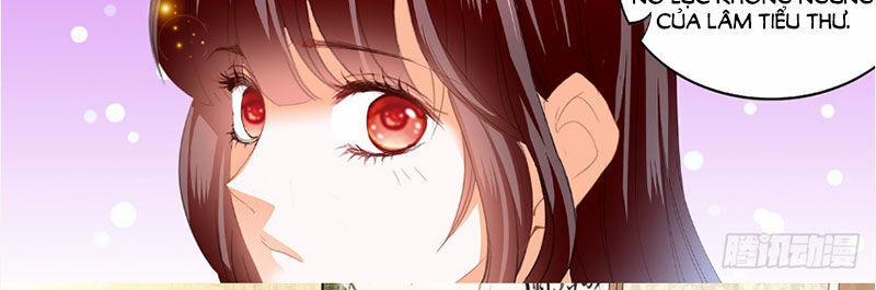 Thiểm Hôn Kiều Thê 254 trang 8