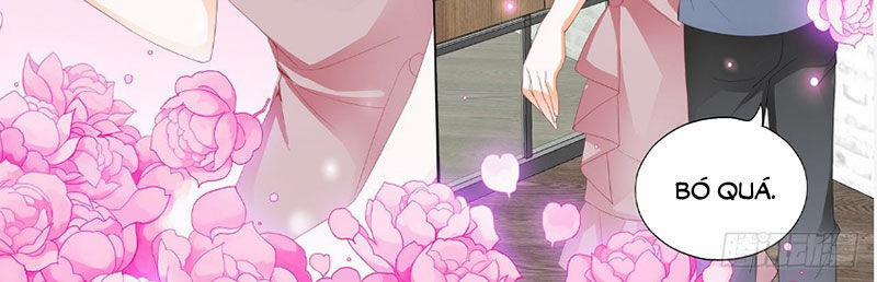 Thiểm Hôn Kiều Thê 256 trang 10