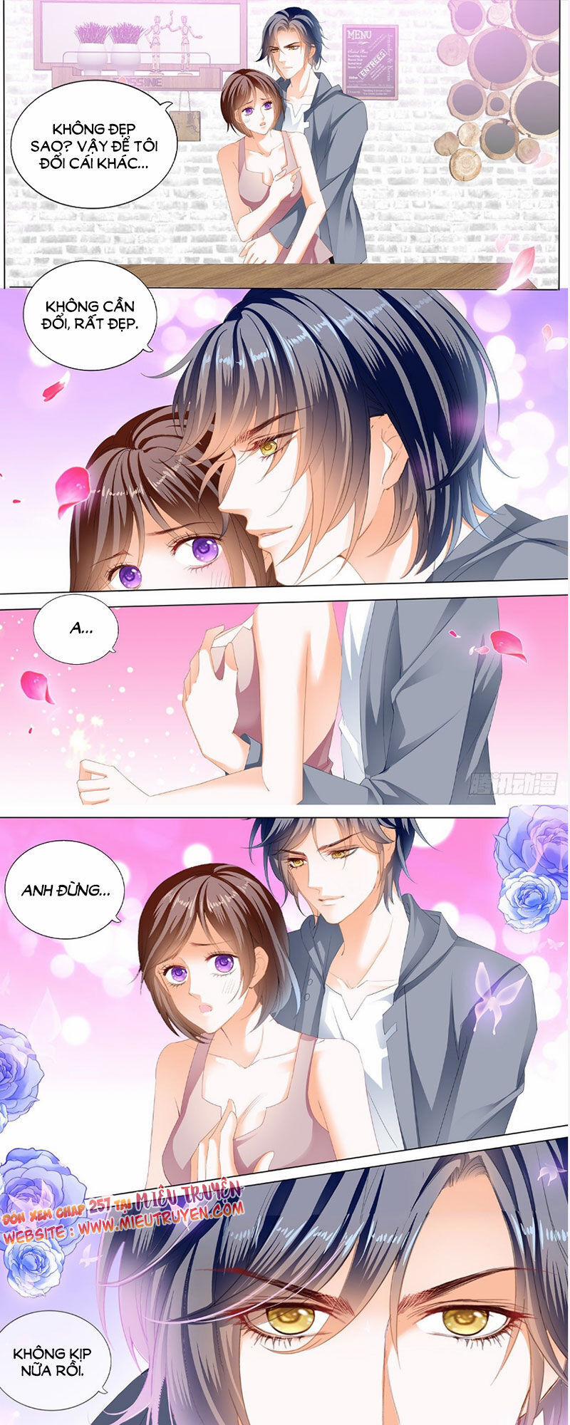 Thiểm Hôn Kiều Thê 256 trang 11