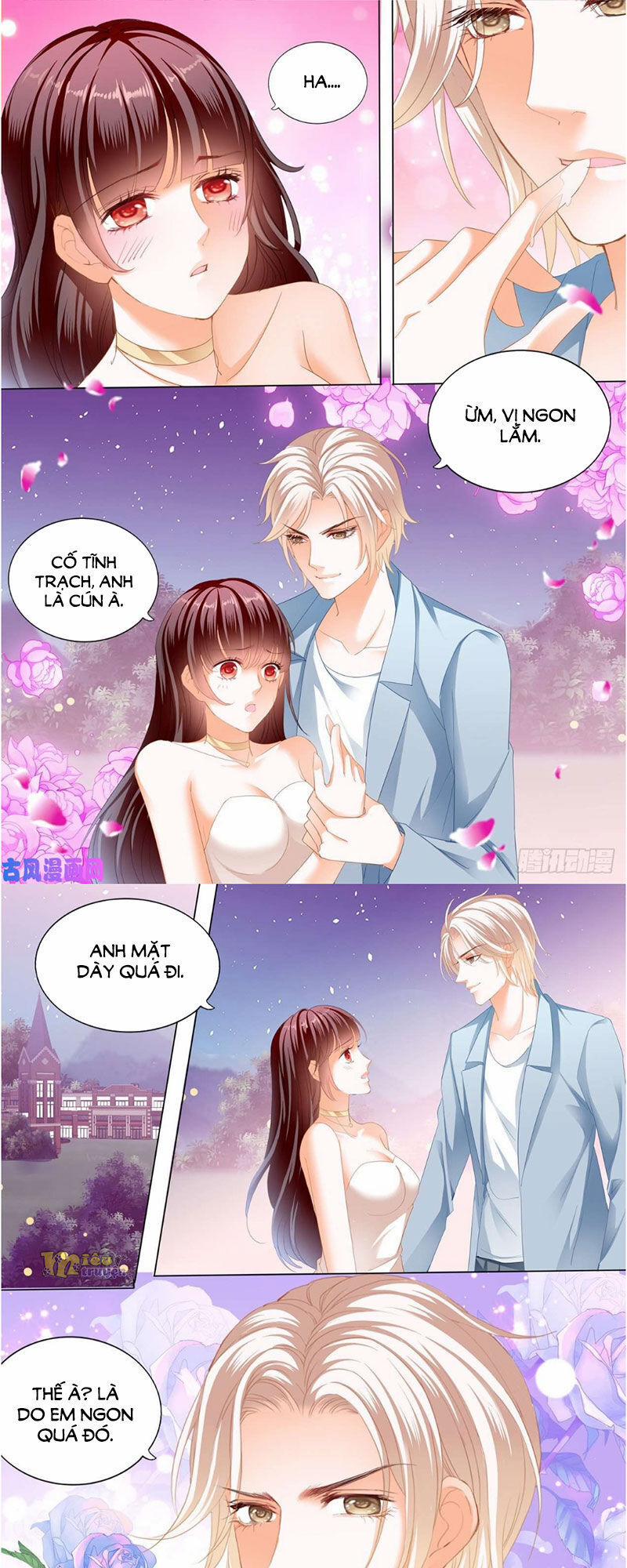 Thiểm Hôn Kiều Thê 258 trang 12