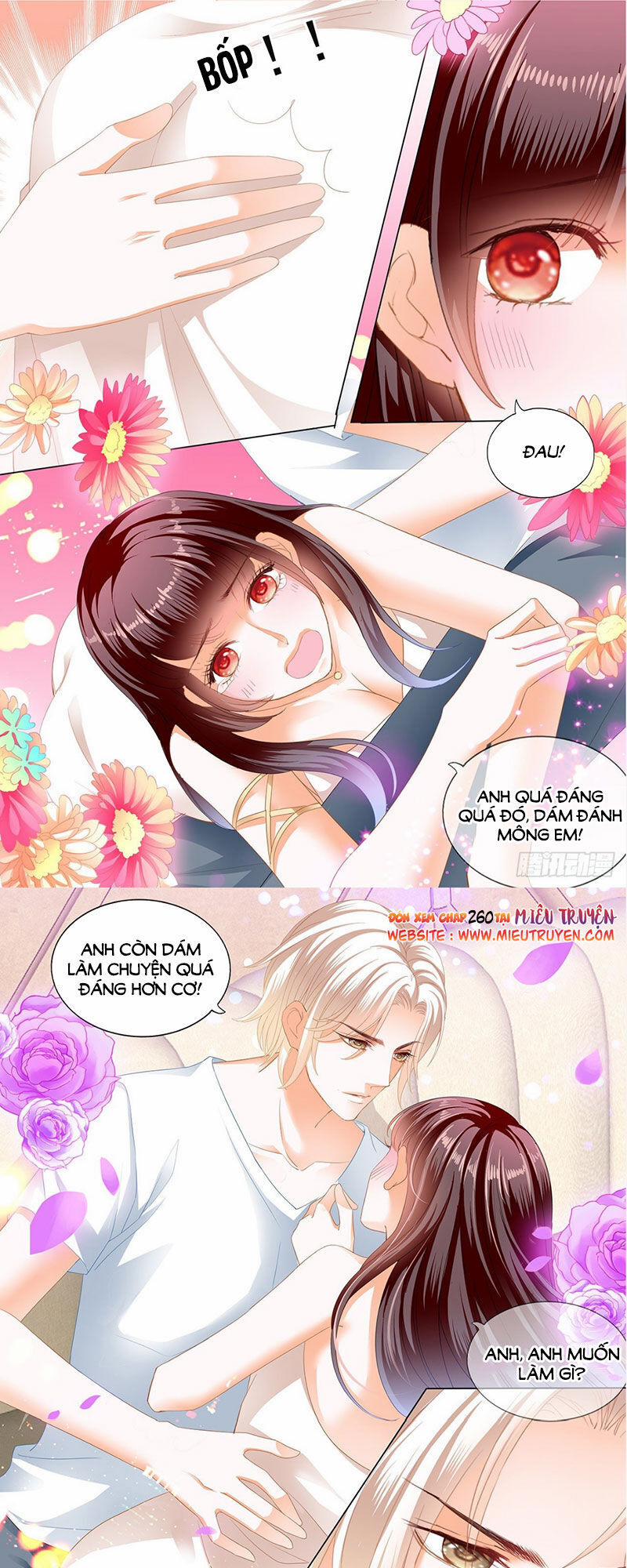 Thiểm Hôn Kiều Thê 260 trang 11