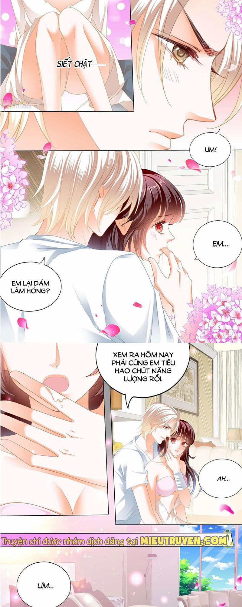 Thiểm Hôn Kiều Thê 261 trang 7