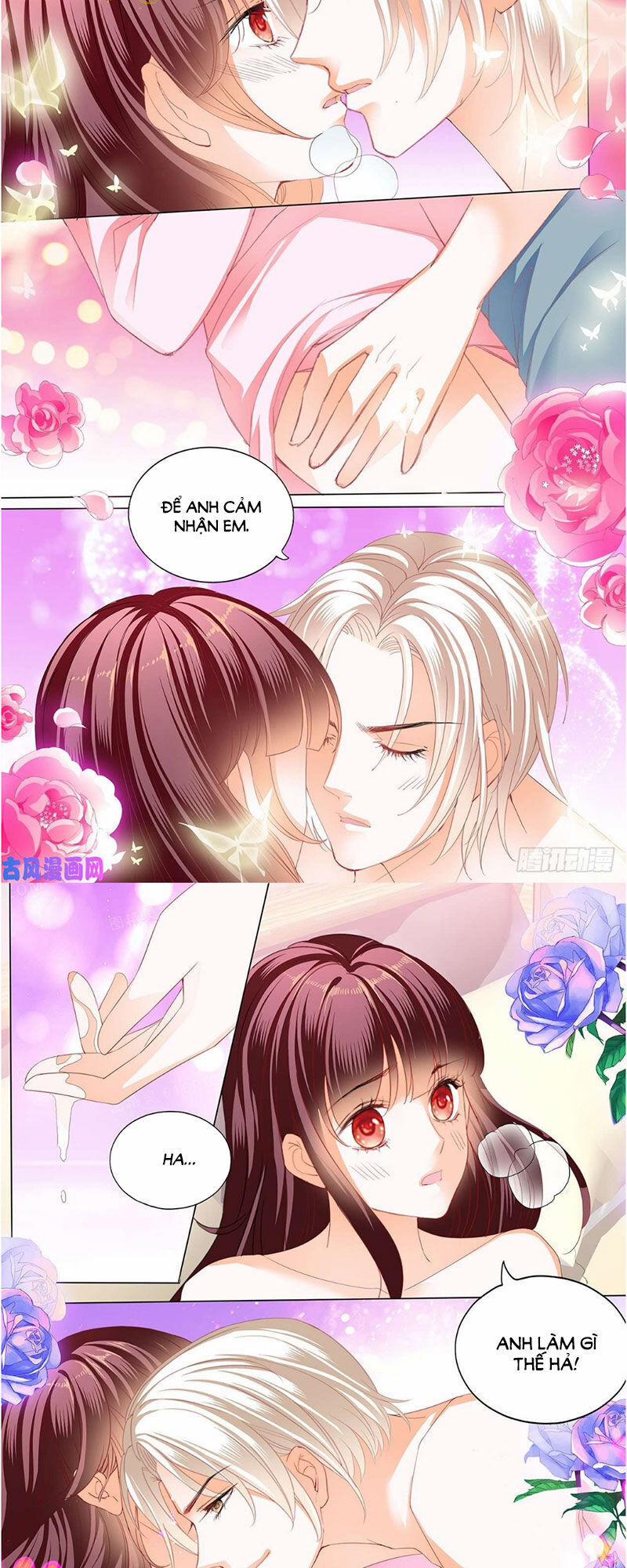 Thiểm Hôn Kiều Thê 263 trang 10