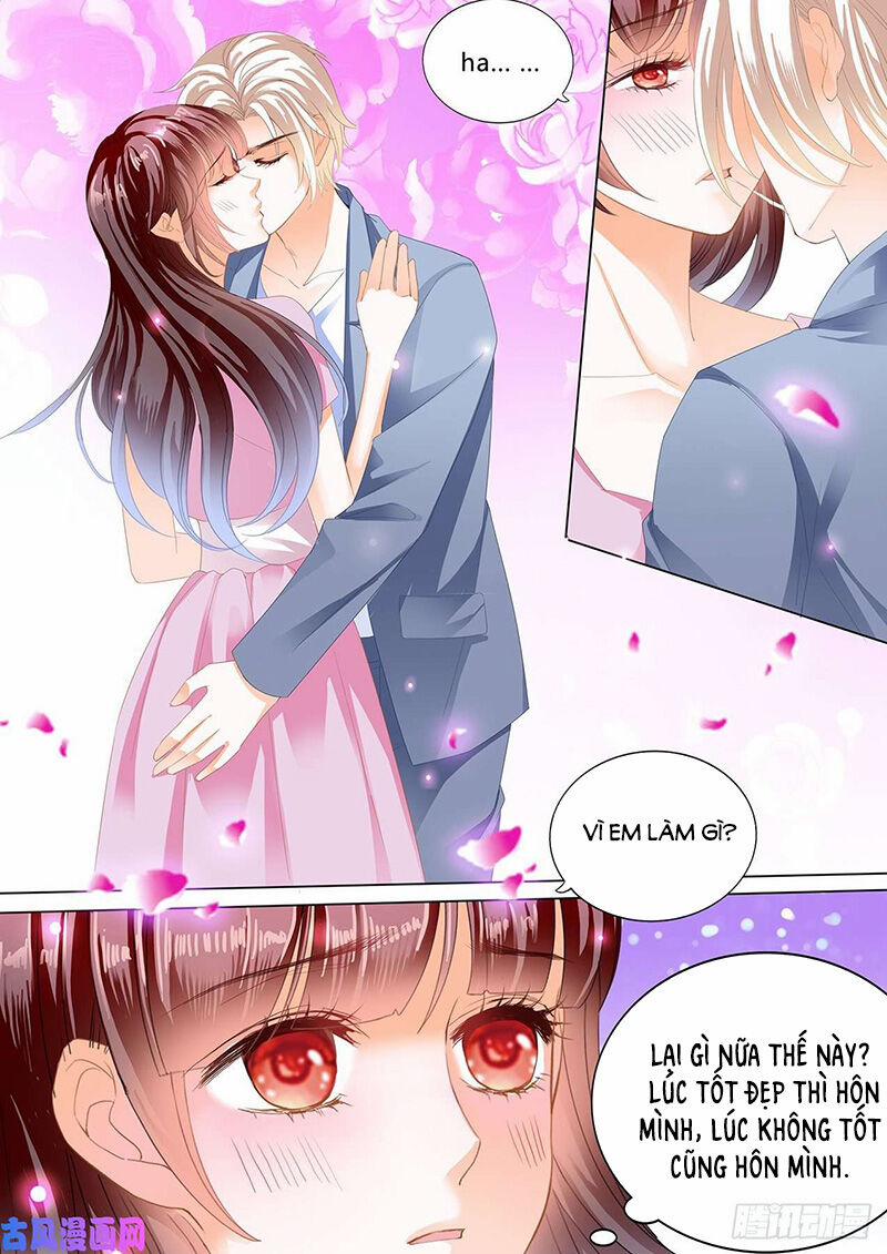 Thiểm Hôn Kiều Thê 265 trang 8