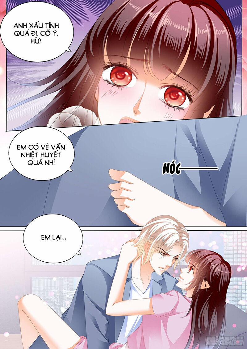 Thiểm Hôn Kiều Thê 266 trang 10