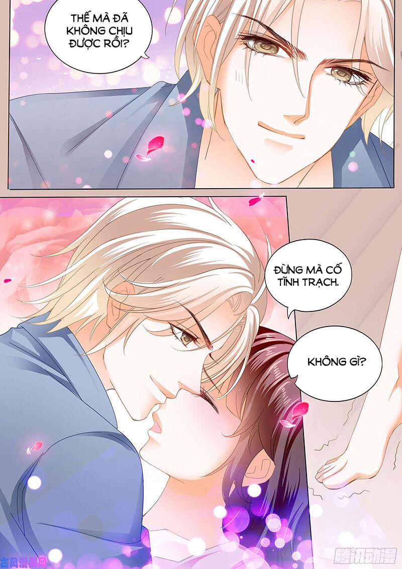 Thiểm Hôn Kiều Thê 266 trang 8