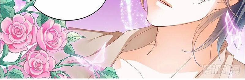 Thiểm Hôn Kiều Thê 268 trang 6