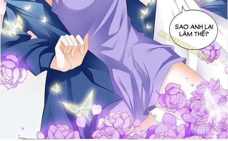 Thiểm Hôn Kiều Thê 269 trang 4