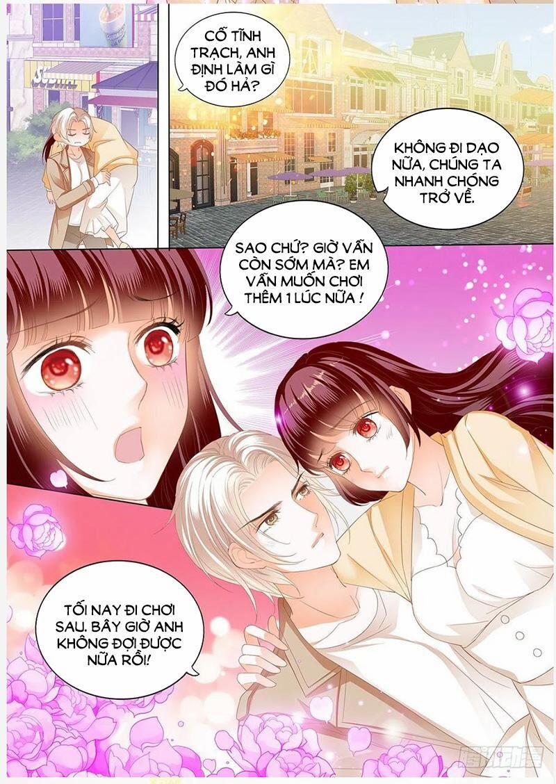 Thiểm Hôn Kiều Thê 271 trang 5