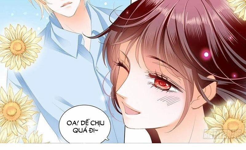 Thiểm Hôn Kiều Thê 273 trang 2