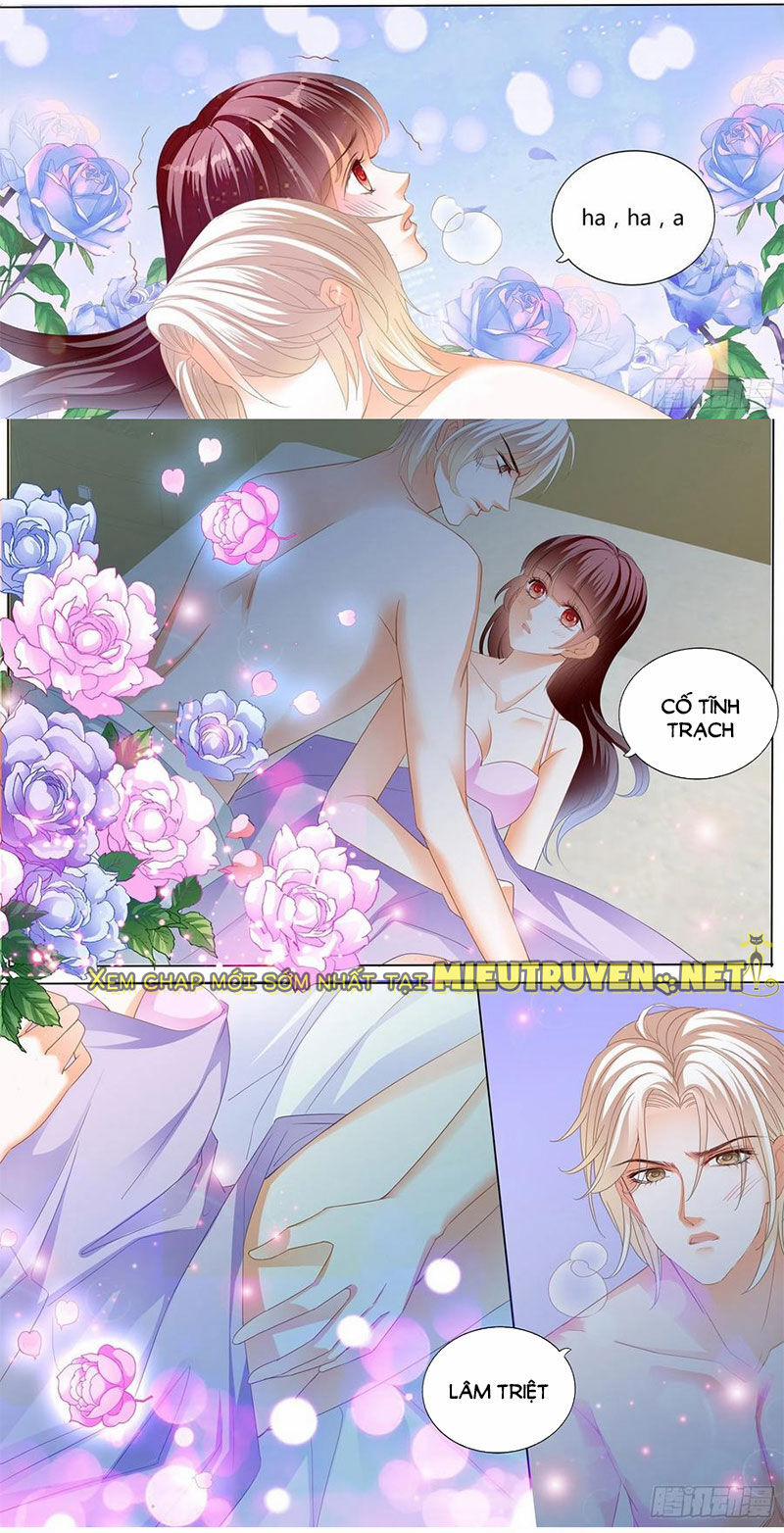 Thiểm Hôn Kiều Thê 275 trang 3