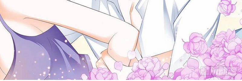 Thiểm Hôn Kiều Thê 277 trang 2