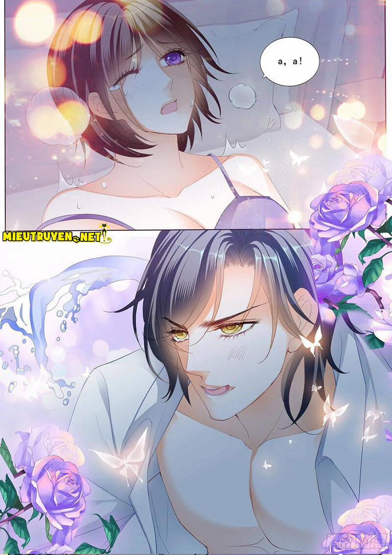 Thiểm Hôn Kiều Thê 277 trang 5