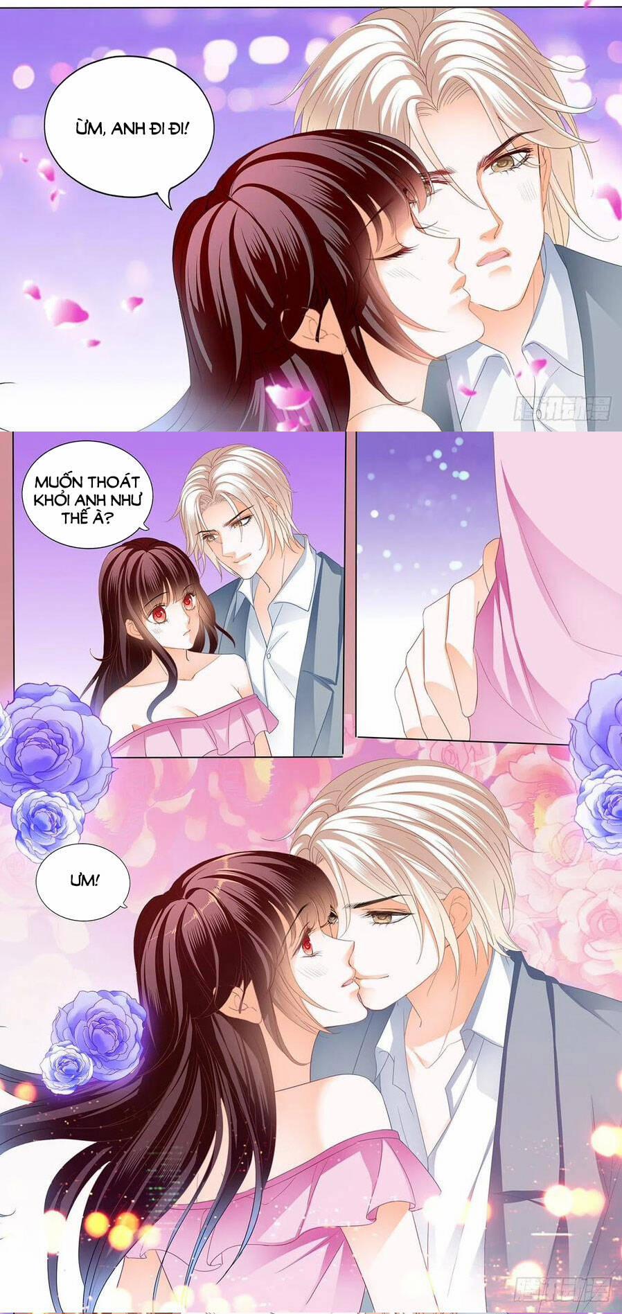 Thiểm Hôn Kiều Thê 278 trang 5