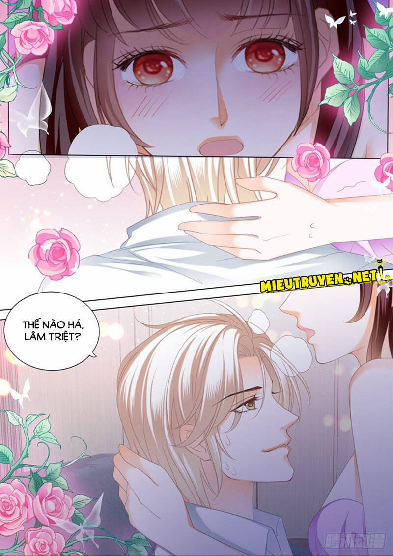 Thiểm Hôn Kiều Thê 279 trang 10