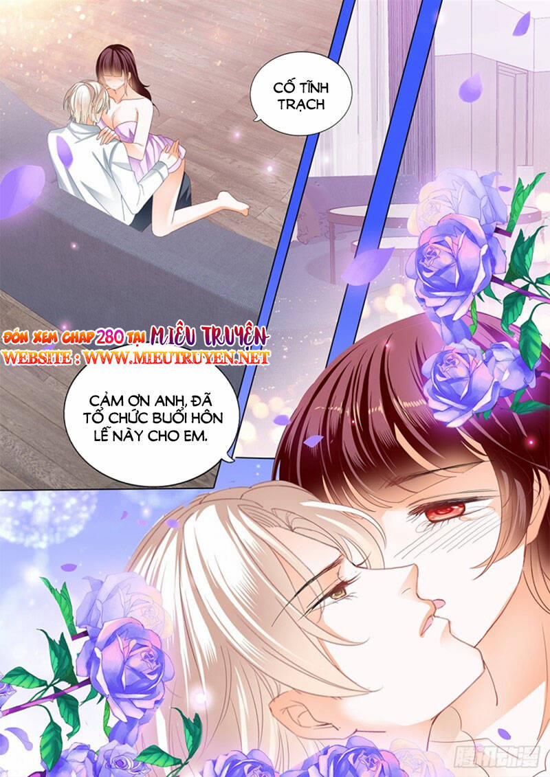 Thiểm Hôn Kiều Thê 279 trang 11