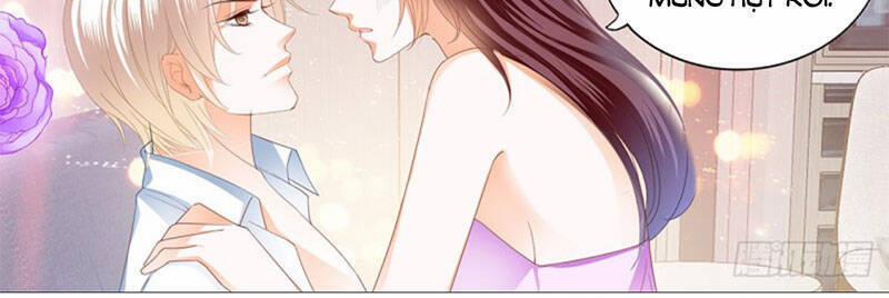 Thiểm Hôn Kiều Thê 279 trang 8