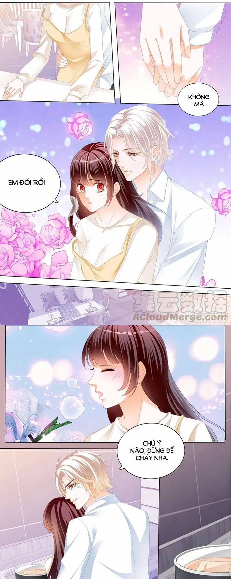 Thiểm Hôn Kiều Thê 281 trang 10