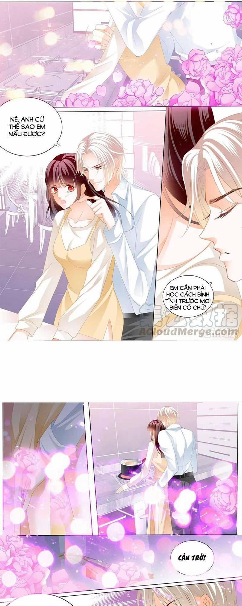 Thiểm Hôn Kiều Thê 281 trang 6