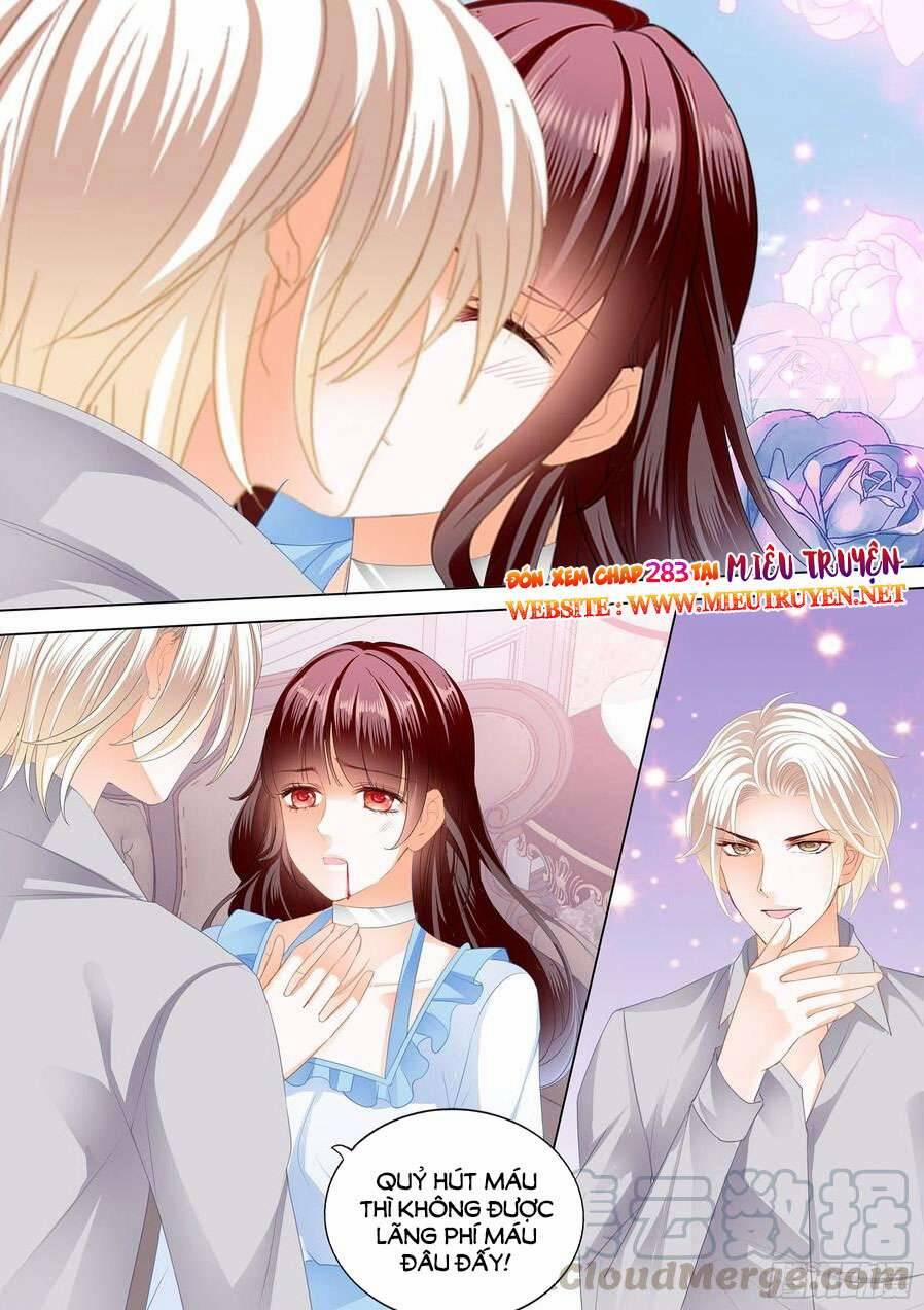 Thiểm Hôn Kiều Thê 282 trang 11