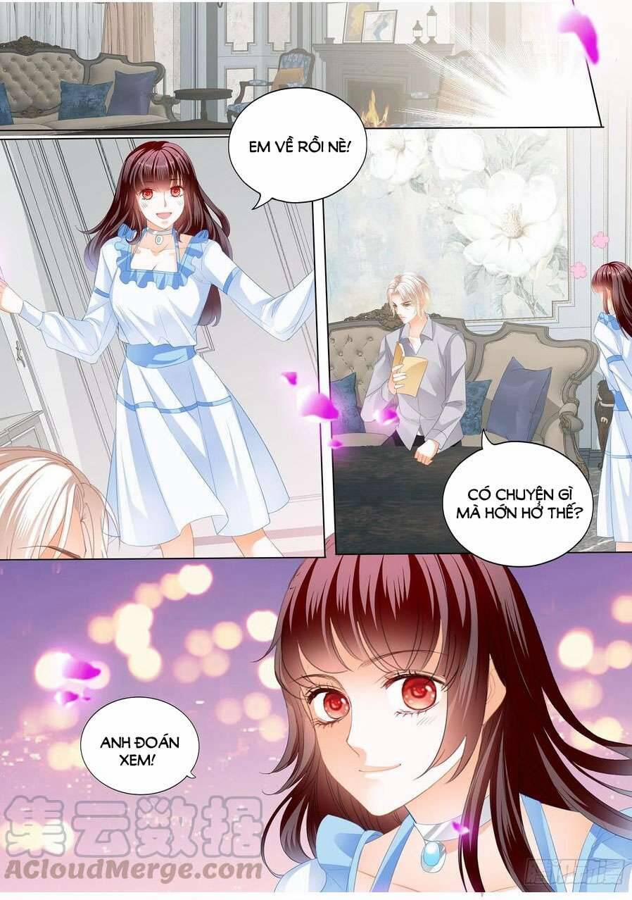 Thiểm Hôn Kiều Thê 282 trang 5