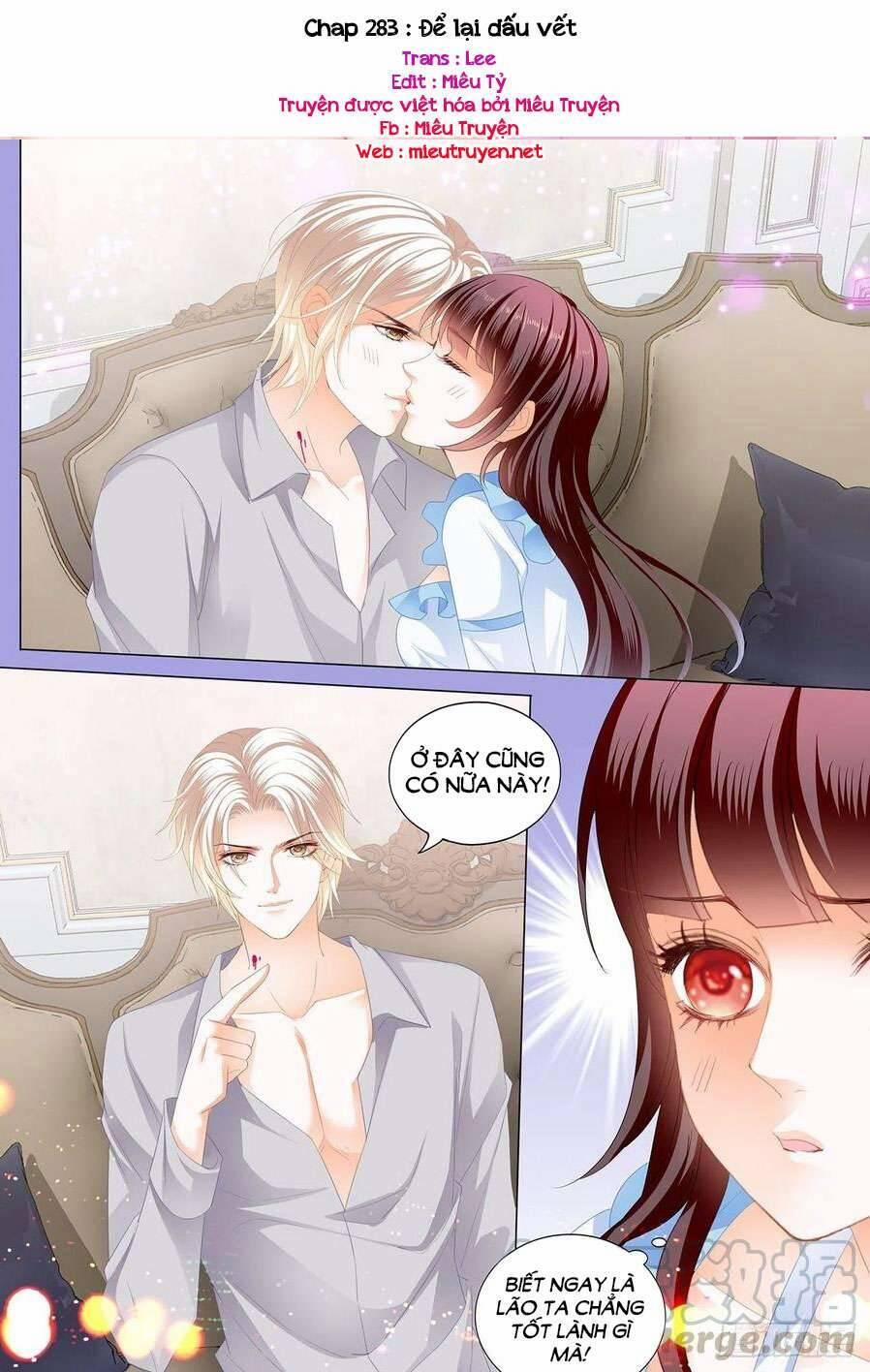 Thiểm Hôn Kiều Thê 283 trang 0