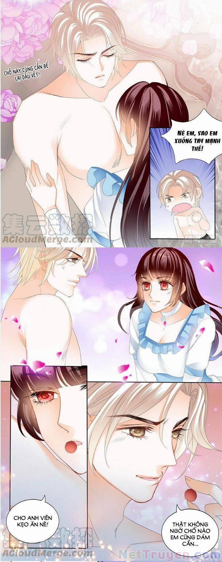 Thiểm Hôn Kiều Thê 284 trang 2