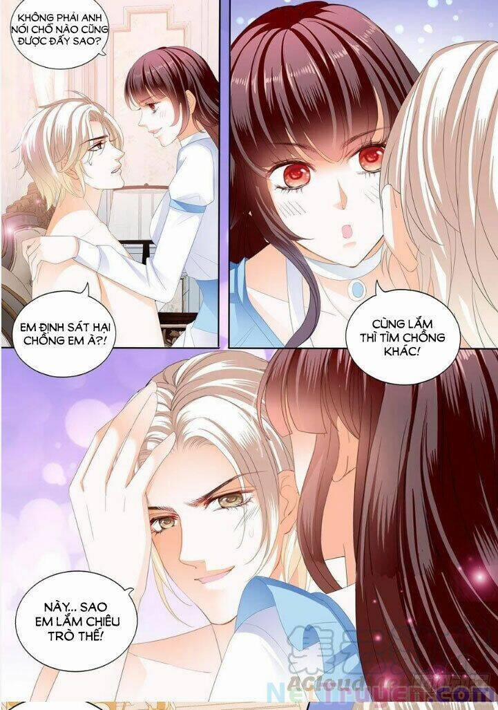 Thiểm Hôn Kiều Thê 284 trang 3