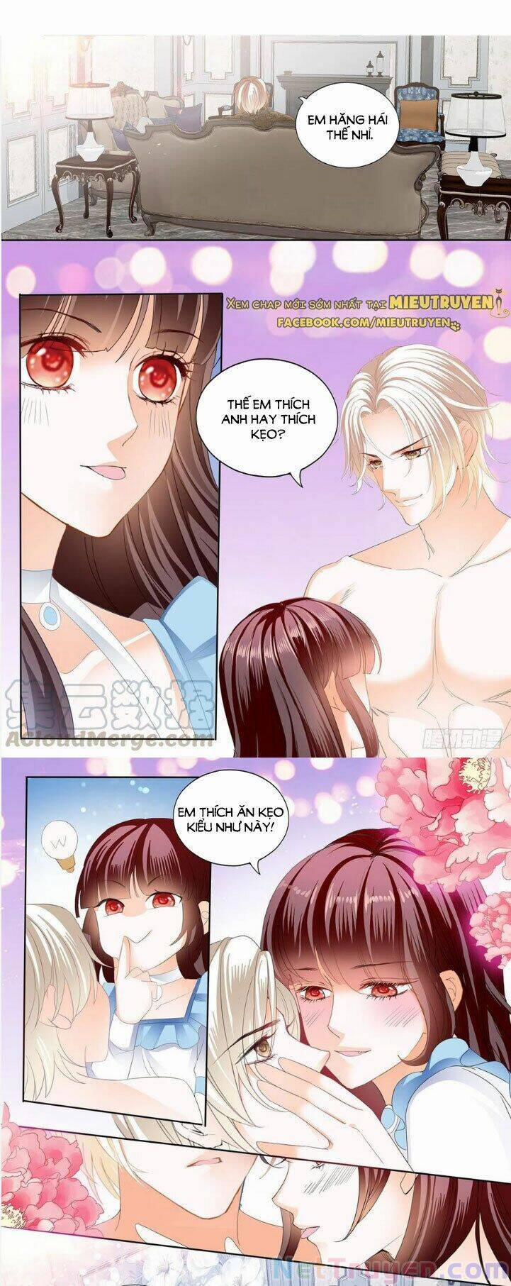 Thiểm Hôn Kiều Thê 284 trang 5