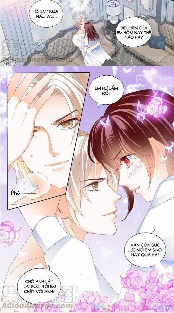 Thiểm Hôn Kiều Thê 284 trang 6