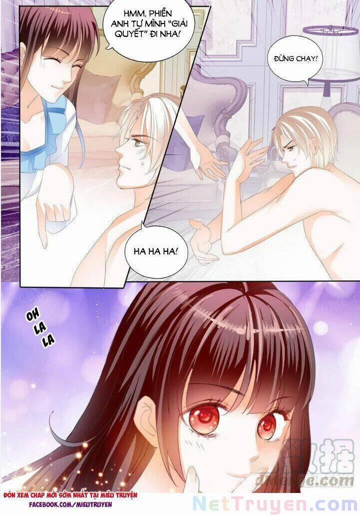 Thiểm Hôn Kiều Thê 284 trang 8