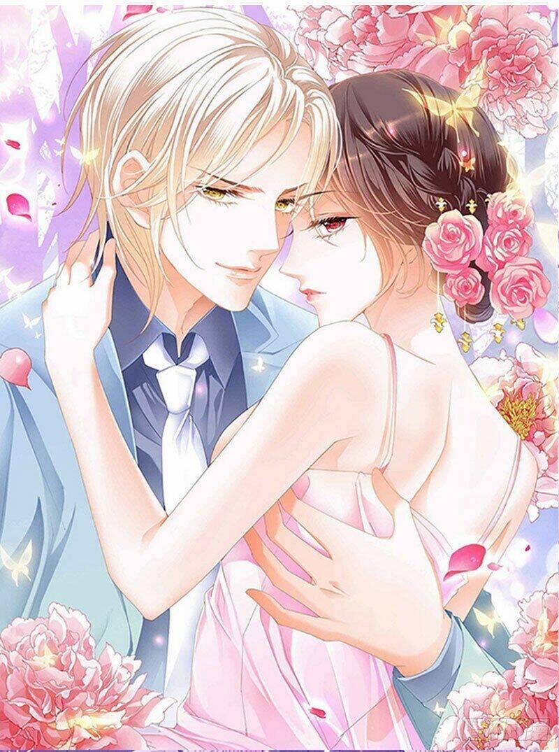 Thiểm Hôn Kiều Thê 286 trang 0