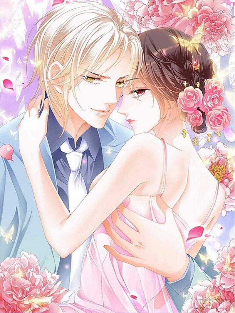 Thiểm Hôn Kiều Thê 288 trang 0